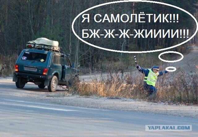 Что же ГАИшник там увидел? Кого встретил?