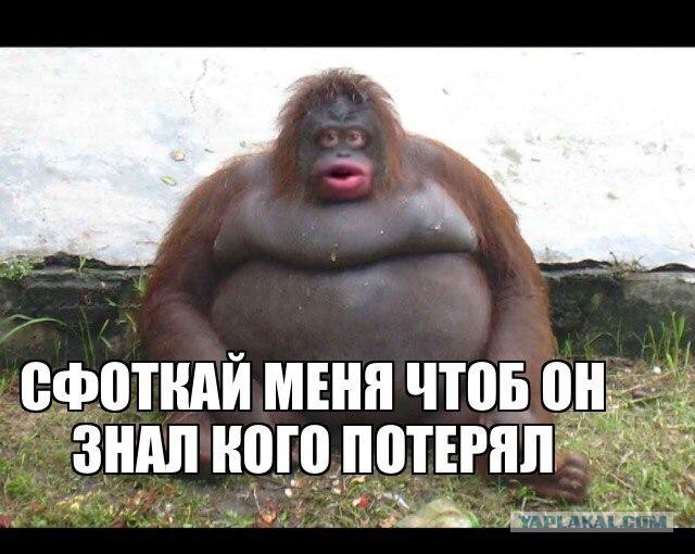 Ох уж эти фотопозы