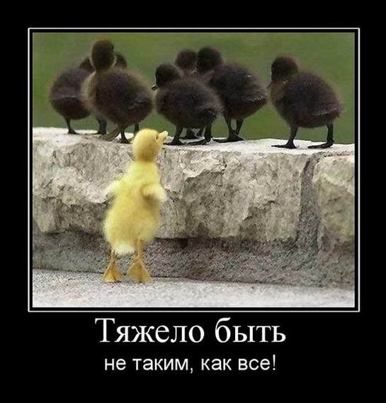 Скрудж порно