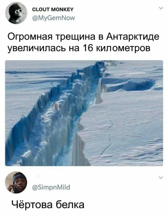 Прикольные картинки абавсём