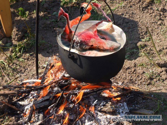 Трудно стоять на одной ноге