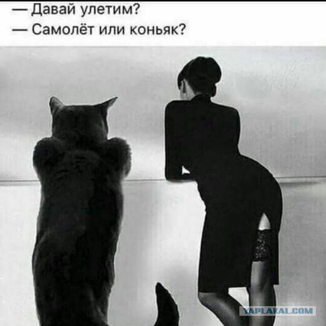 Традиции нарушать нельзя!