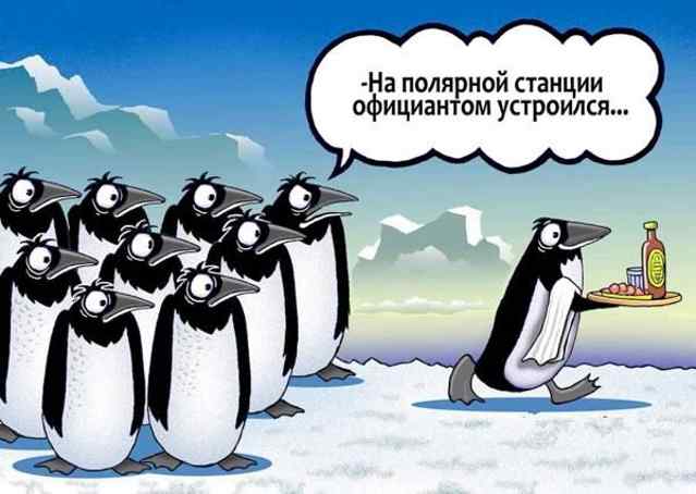 Беги, малыш!