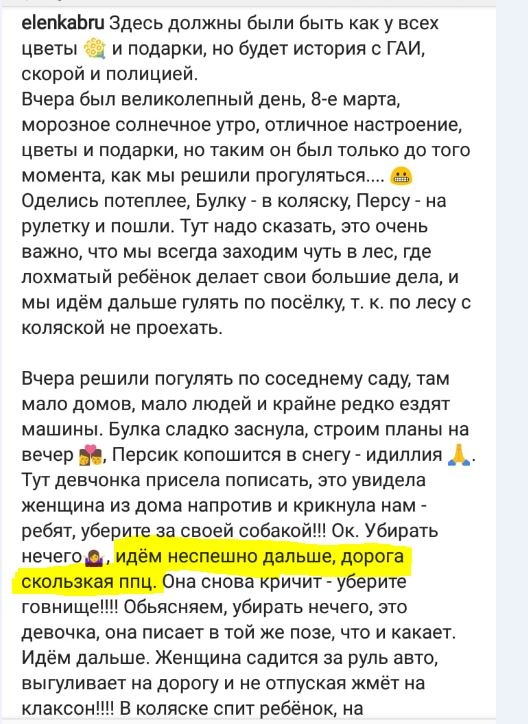 Наехала автомобилем из за собачьего говна