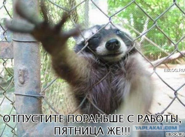 ПЯТНИЦЦО!