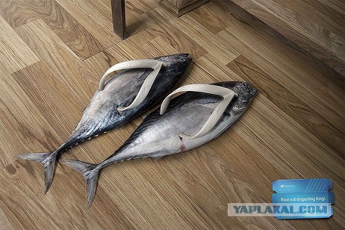 Новый отпуск?