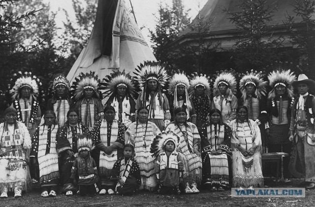 Молчаливый дворецкий что это. Смотреть фото Молчаливый дворецкий что это. Смотреть картинку Молчаливый дворецкий что это. Картинка про Молчаливый дворецкий что это. Фото Молчаливый дворецкий что это Молчаливый дворецкий что это. Смотреть фото Молчаливый дворецкий что это. Смотреть картинку Молчаливый дворецкий что это. Картинка про Молчаливый дворецкий что это. Фото Молчаливый дворецкий что это