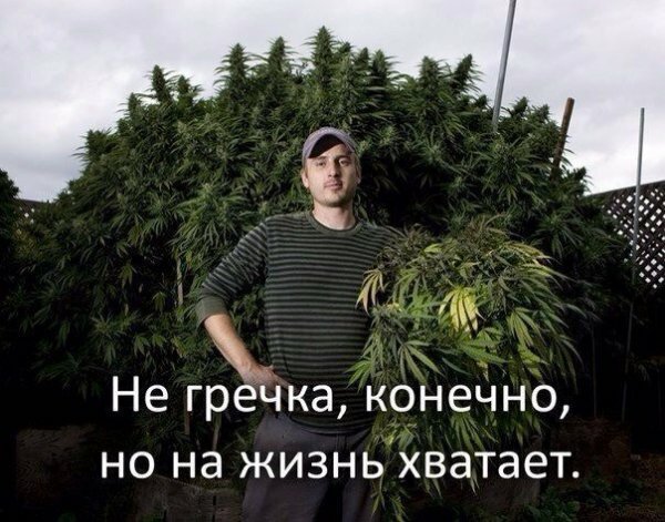 Пара-пара-пам! Фьють