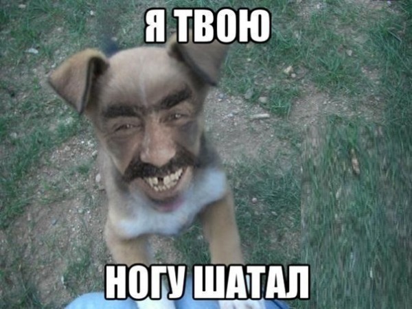 Они говорили, нам не надо знать русский язык, коллеги