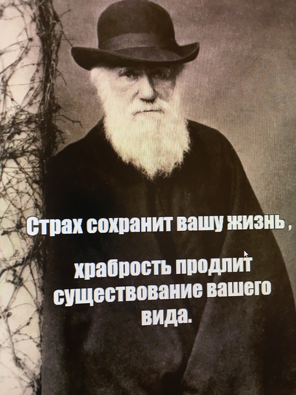 «Убивать пленных немцев — добро». 75 лет назад американцы вырезали охранников концлагеря Дахау