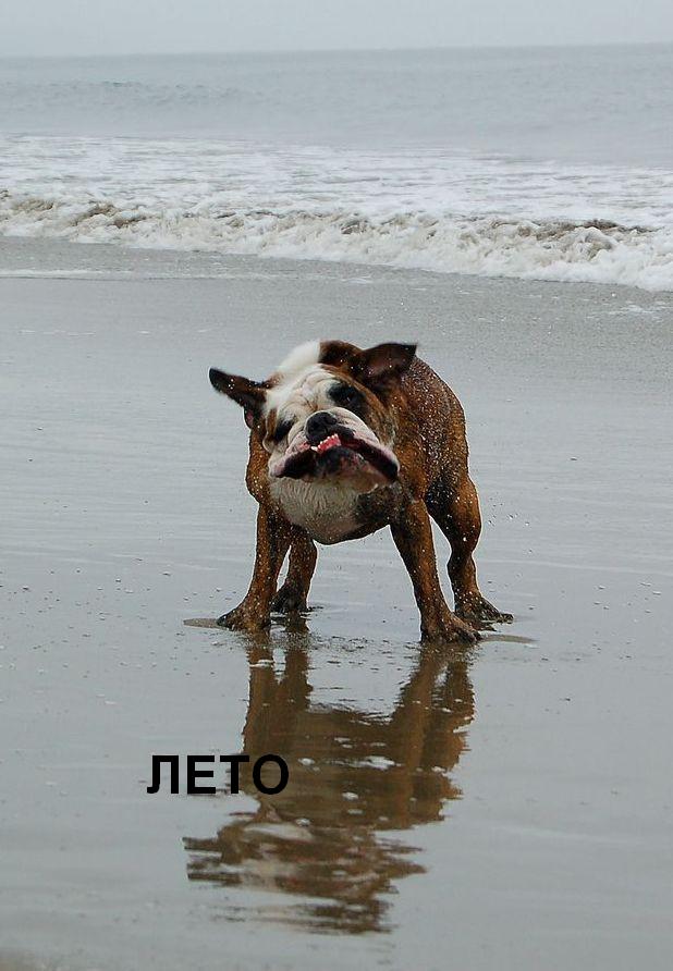 Фотожаба: Скоро лето 2008 !