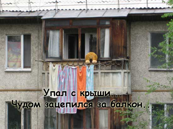 Конкурс: подпись к картинке