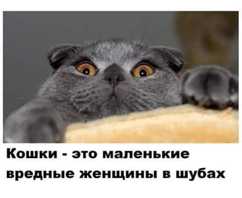Пост картинок в понедельник 25.05. Всяких разных обо всём