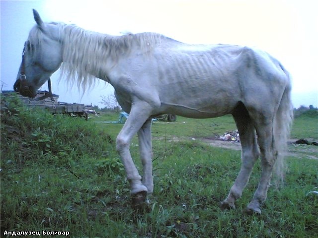 Пытался сбить девушку, катающуюся на самокате ударом с ноги