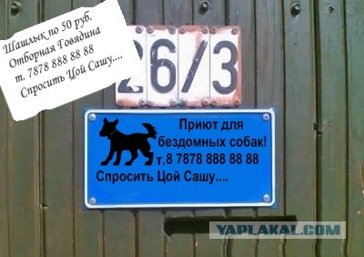 Фотожаба: Я Табличка