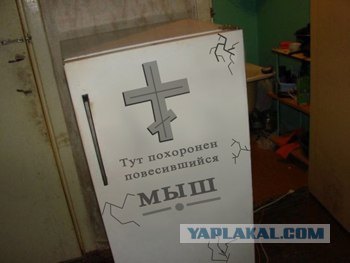 Холодильник в общаге