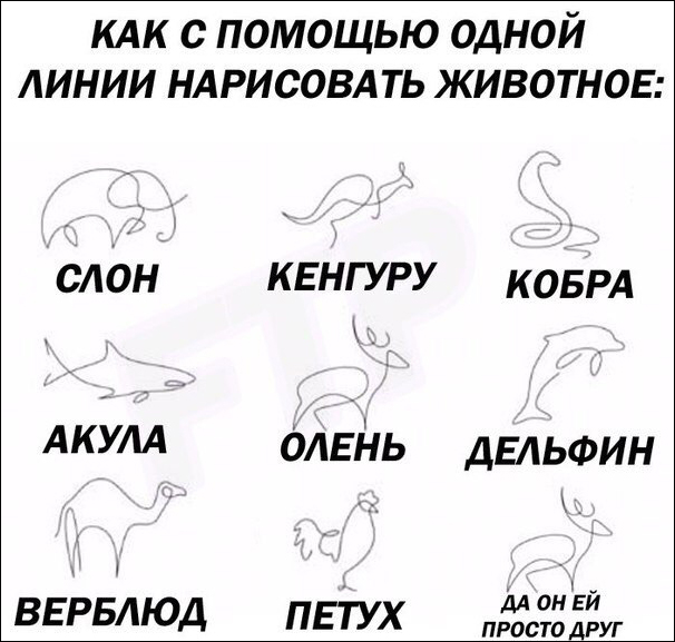 Юмор в картинках 7.11.20