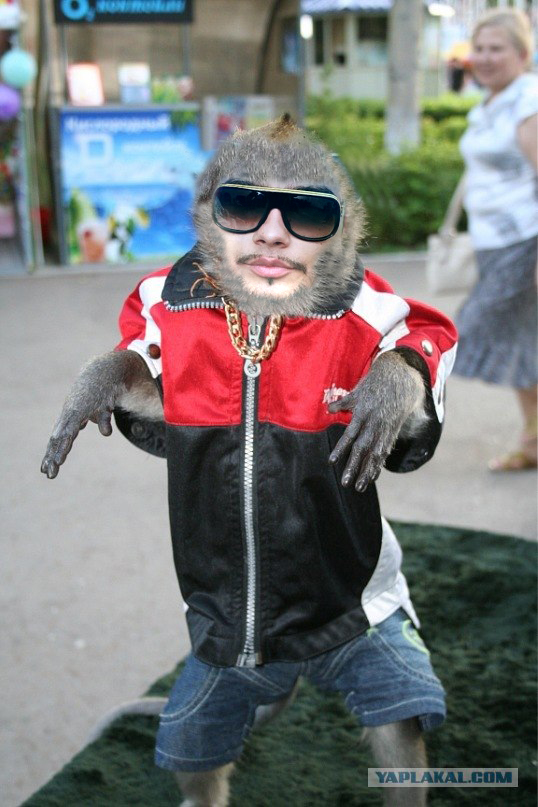 пацаны ваще ребята