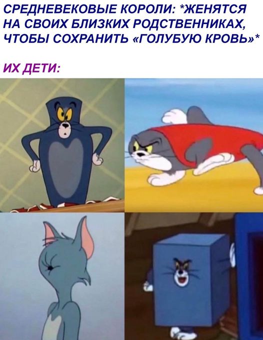 Бредзона 01.03.21