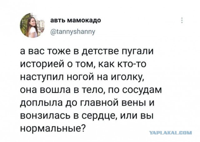 Юмор и прикольные картинки