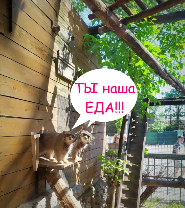 Подборка интересных и прикольных фото 26.06.22