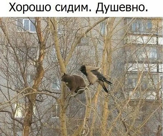 Так себе картинки 15.02.23