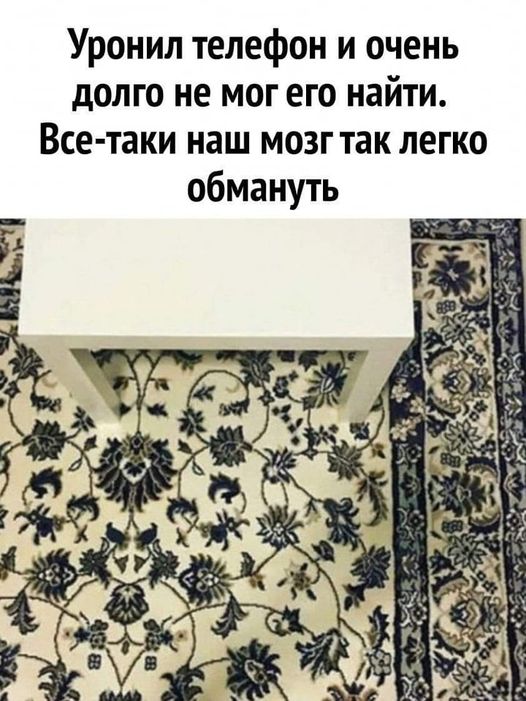 Победная поступь идиотизма по планете – том 8