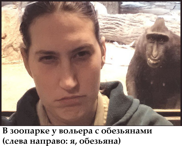 Обезьяна - тролль-фотобомбер