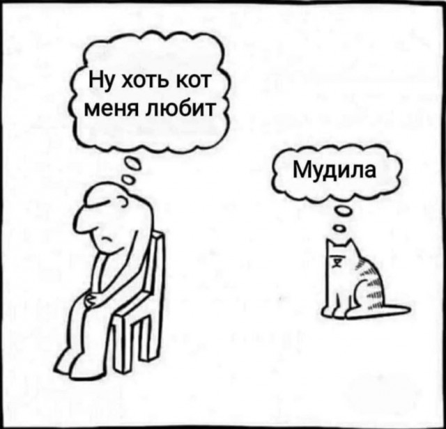 Кенгуру и пиво