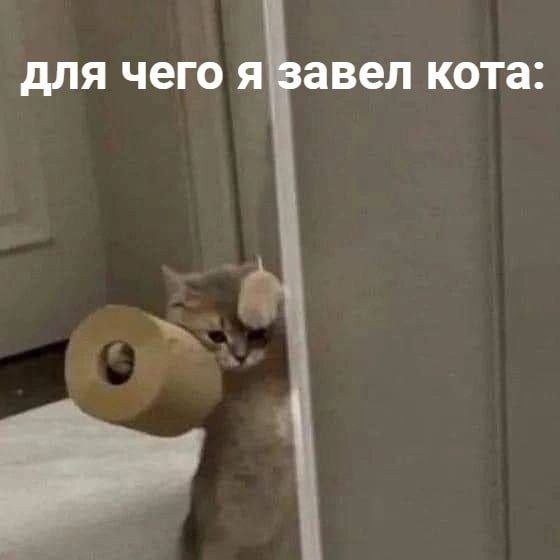 Скриншоты и комментарии из социальных сетей 12.05.23