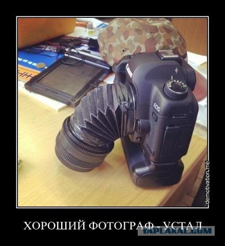 Canon или Nikon?