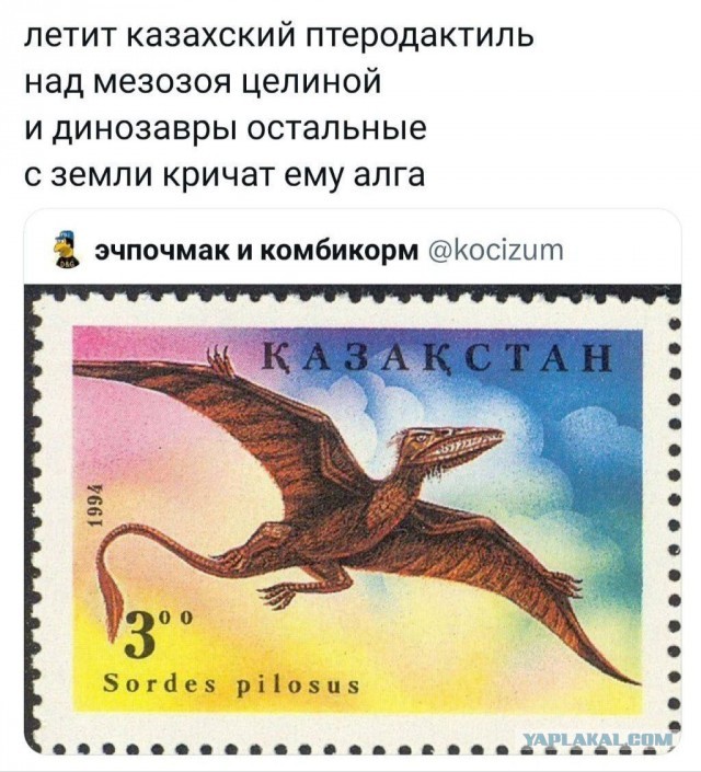 Казах сравнивает российский вагон с казахстанскими и задаёт риторические вопросы своим согражданам: