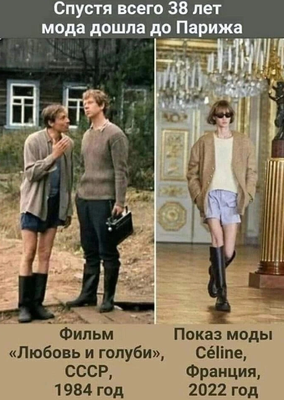 Результат толерантности у эльфов