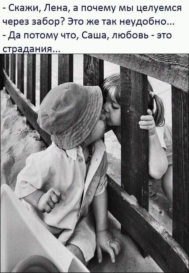 Прикольные и просто красивые картинки 13.09.2024