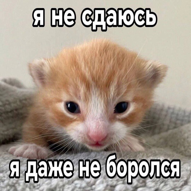 Всего понемногу. От 02.12.2024