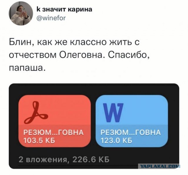 Веселые картинки в пятницу (08.08)