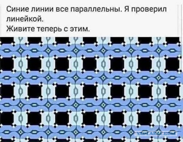 Картинки для деградации 51 (разной степени свежести)