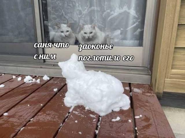 Воскресные картинки