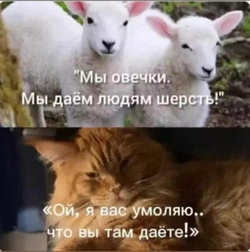 Картиночки, баянчики 02 марта