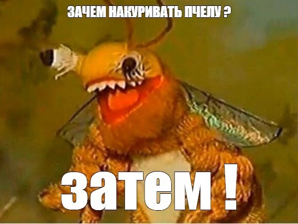 Пчёлы интересные