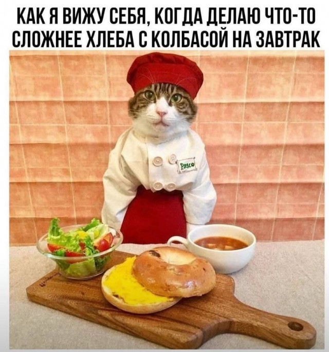 К котовторнику: подборка картинок-баянов с котиками и про котиков. Выпуск 42.