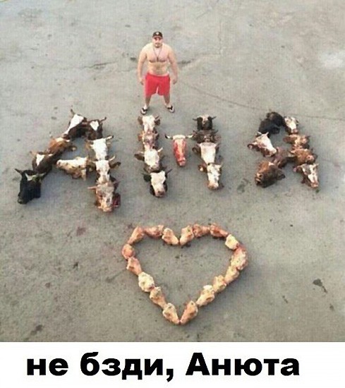 Так себе картинки 18.07.26