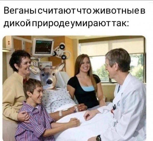 Картинки для деградации 245 (разной степени свежести)