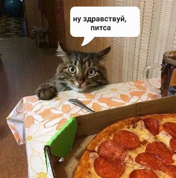 Любите бутербродики, любите и депрессию
