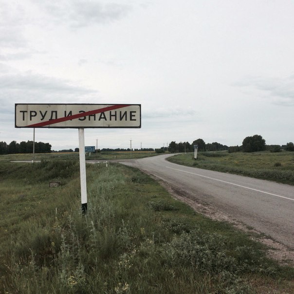 Со временем иишного мусора станет столько, что вы уже не найдете в нем ни правды, ни знаний