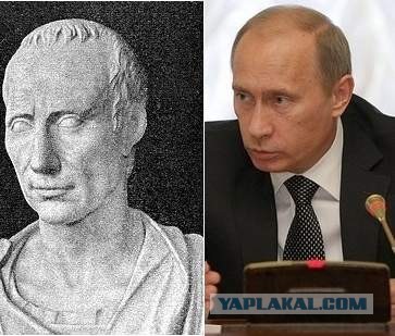 На Крещатике нашли собаку похожую на Путина