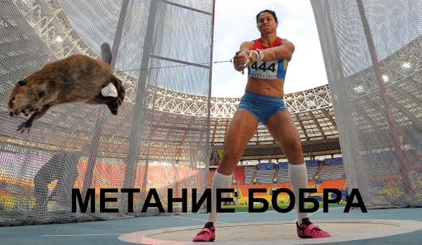 Новые Олимпийские виды спорта