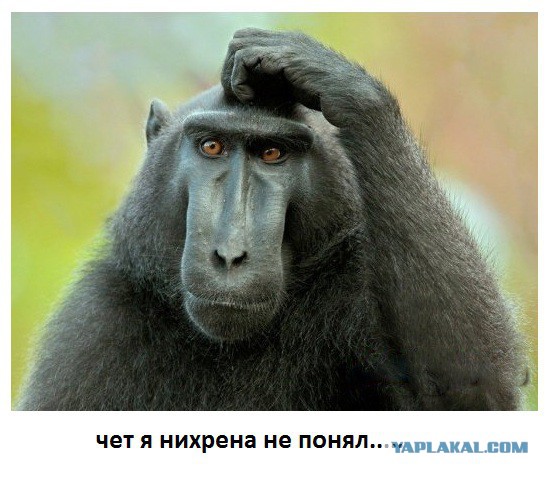 Wargaming 11