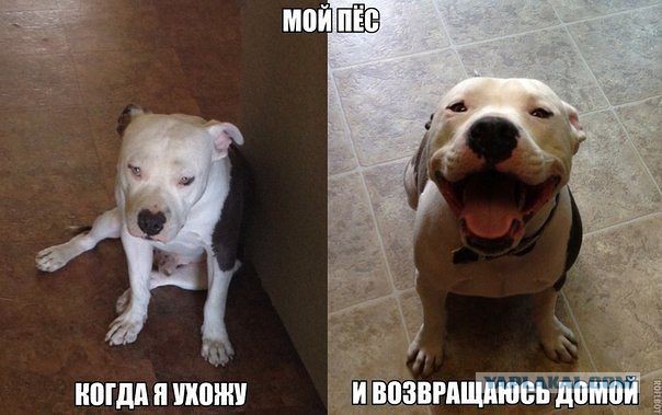 Позитивные картинки