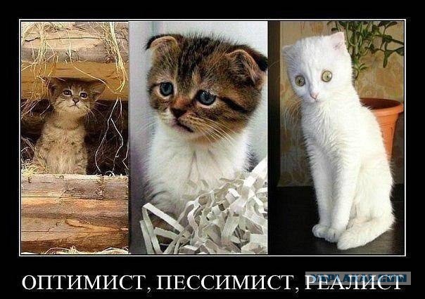 Братишки, я вам картинок принёс!